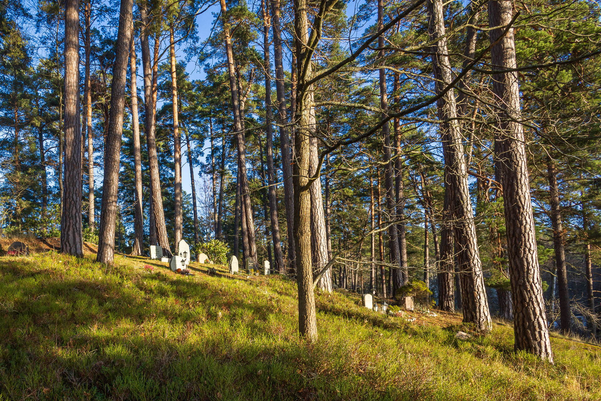 Skogsö kyrkogård – naturnära begravningsplats med minneslund i Saltsjöbaden