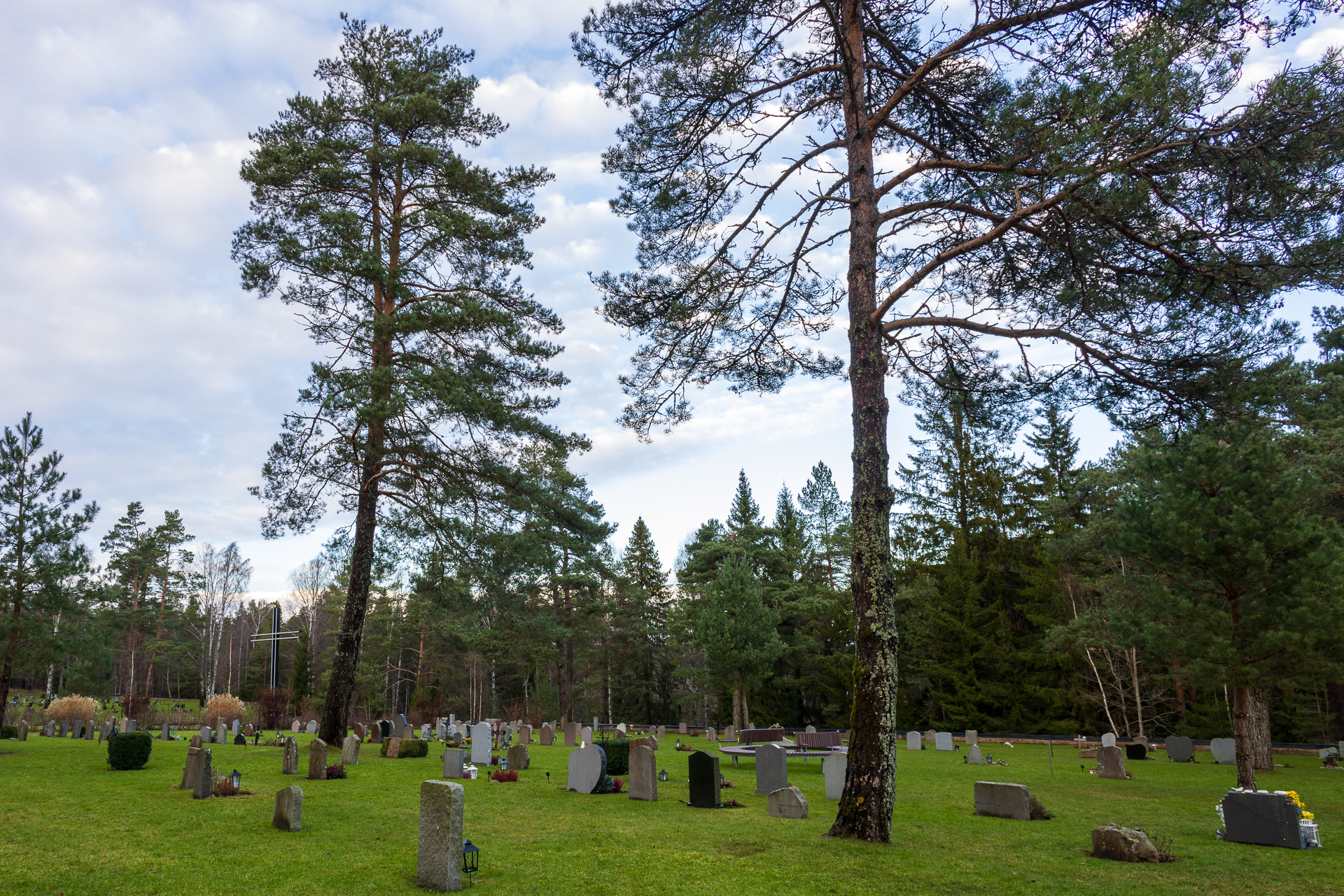 Alt-text: "Storkällans begravningsplats i Älta med minneslund och naturnära gravkvarter