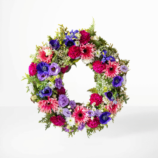 Begravningskrans med lila anemoner, lavendelfärgade rosor, rosa nejlikor, vita prästkragar och rosa germini